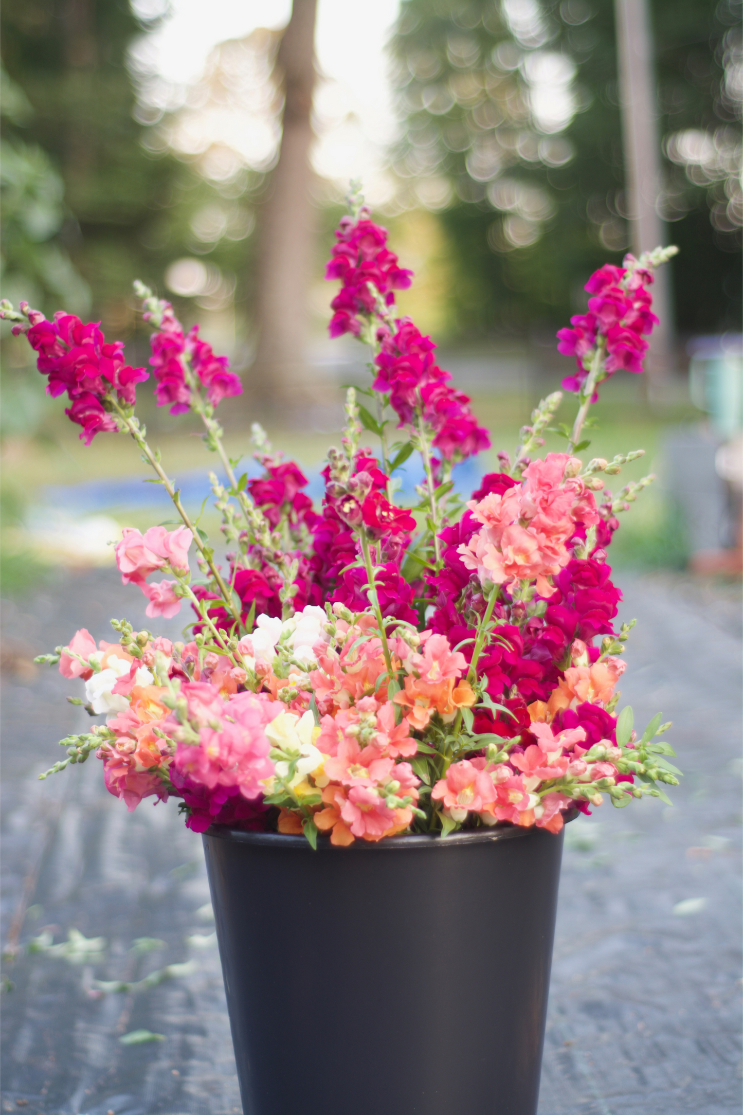2025 ULTIMATE All Season Flower Subscription {14 Bouquets}